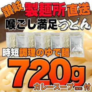 【4食入】讃岐の製麺所が作るレンジで簡単！辛すぎないスパイシーなカレーうどん(180g×4)/ゆうパケット