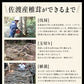 原木しいたけ 椎茸 肉厚 完全無農薬栽培 新潟県 佐渡産 60g