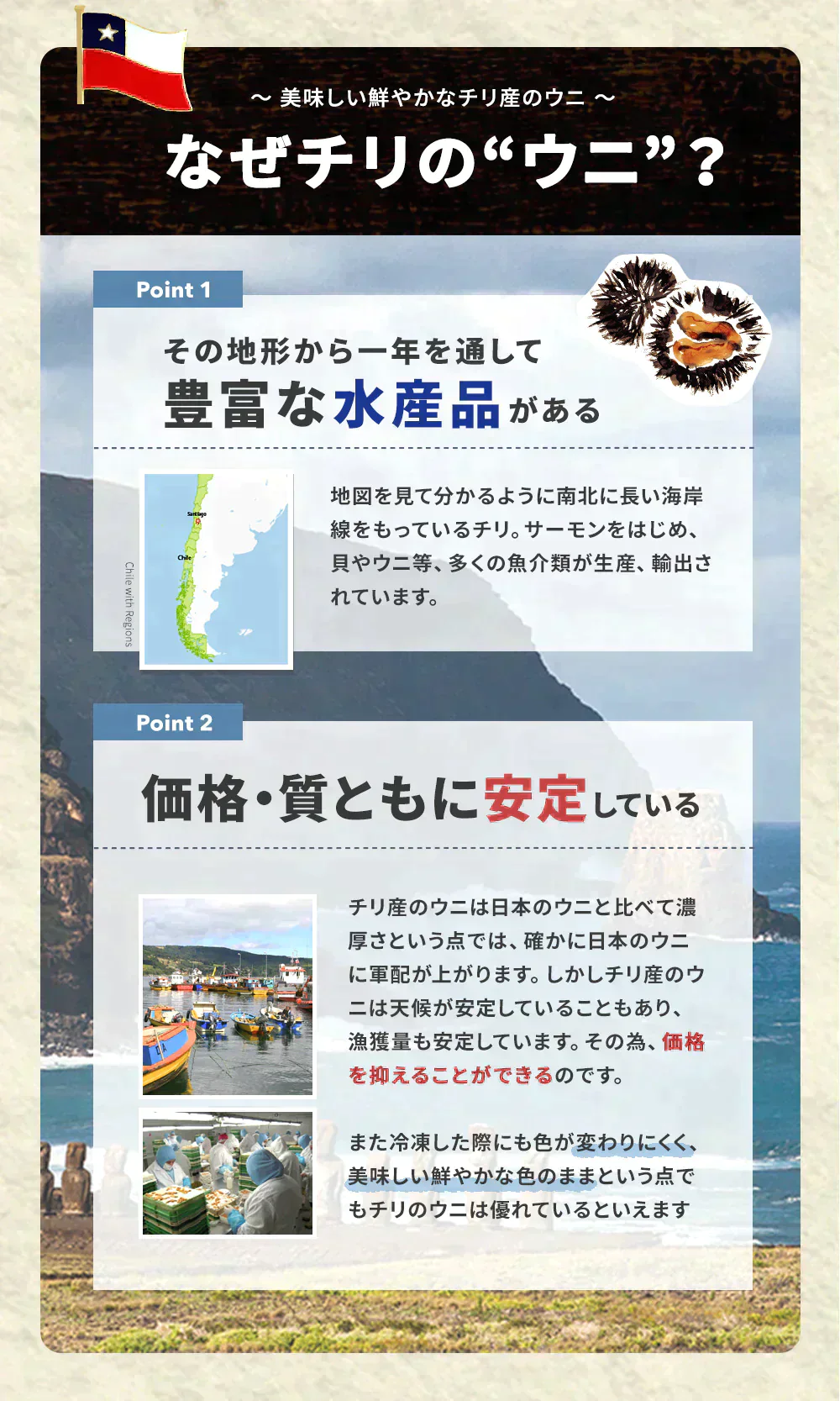 新鮮市場 訳あり ウニ 無添加 ブランチ 冷凍 生うに 100gｘ2パック 刺身 チリ ミョウバン 不使用 ギフト プレゼント 海産物 クリスマス お歳暮 母の日 父の日