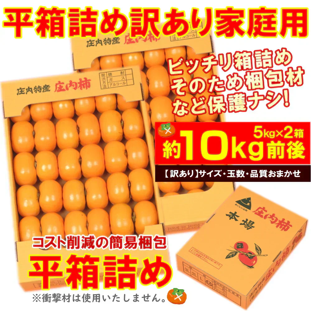 【10月下旬-12月上旬頃ご注文受付順次】訳あり種なし柿約10kg（5kg×2箱）庄内柿平箱詰めご家庭用にたっぷりお届け！柿、かき、カキ
