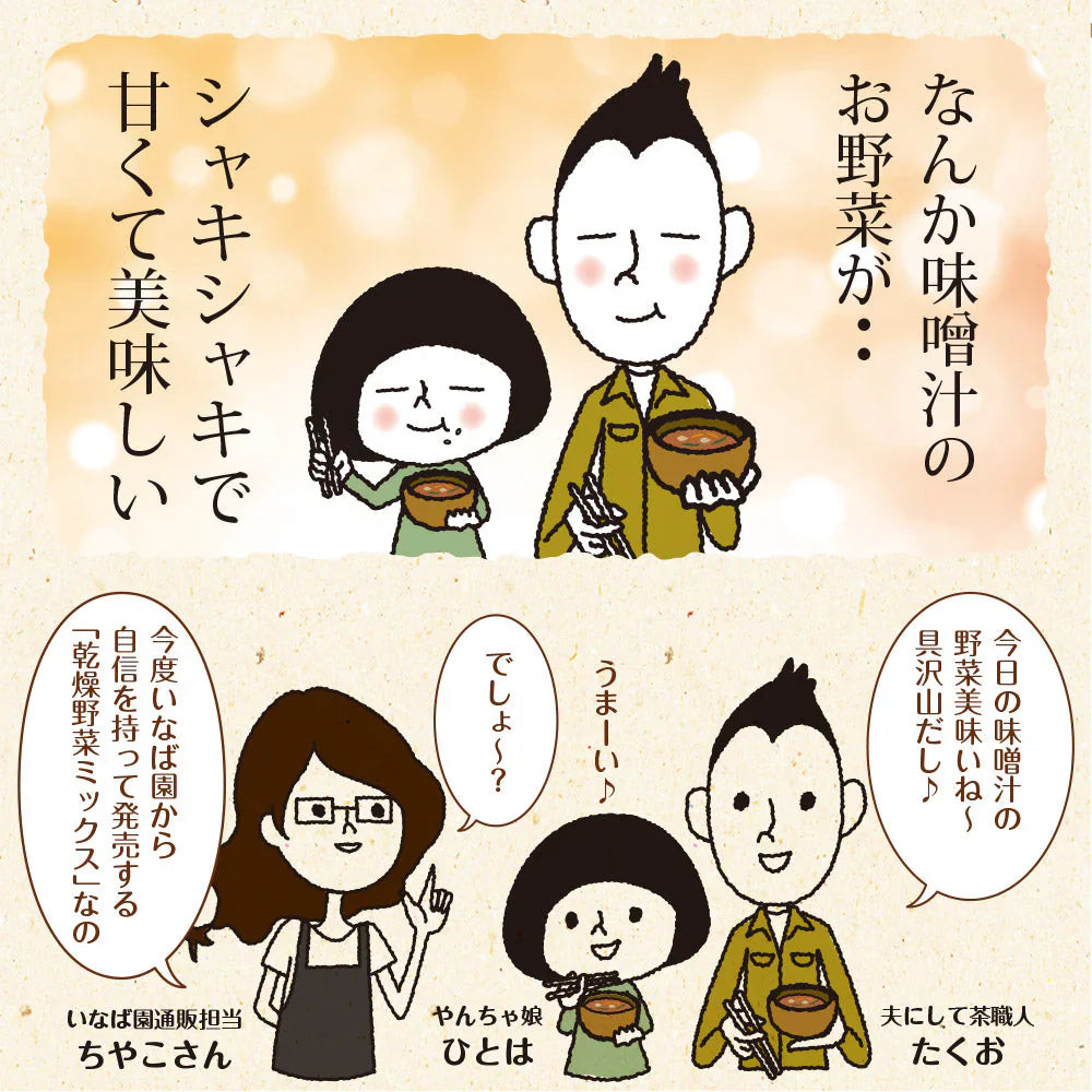 日本橋いなば園 九州産野菜使用 乾燥野菜ミックス 100g ネコポス メール便送料無料