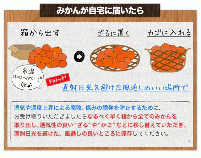 産地直送 熊本県産 みかん 訳あり 送料無料 熊本ミカン 大玉 小玉 不選別 規格外 果物 柑橘 九州 訳アリ 蜜柑 みかん 3-7営業日以内に発送予定（土日祝除く）