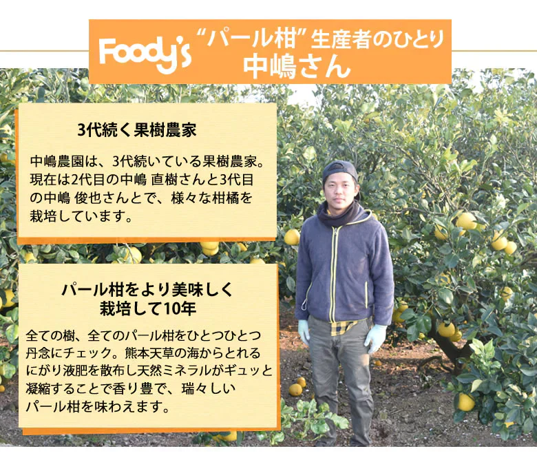 パール柑 文旦 みかん 送料無料 秀品 5kg M～2Lサイズ混合 熊本県産 グレープフルーツ 蜜柑