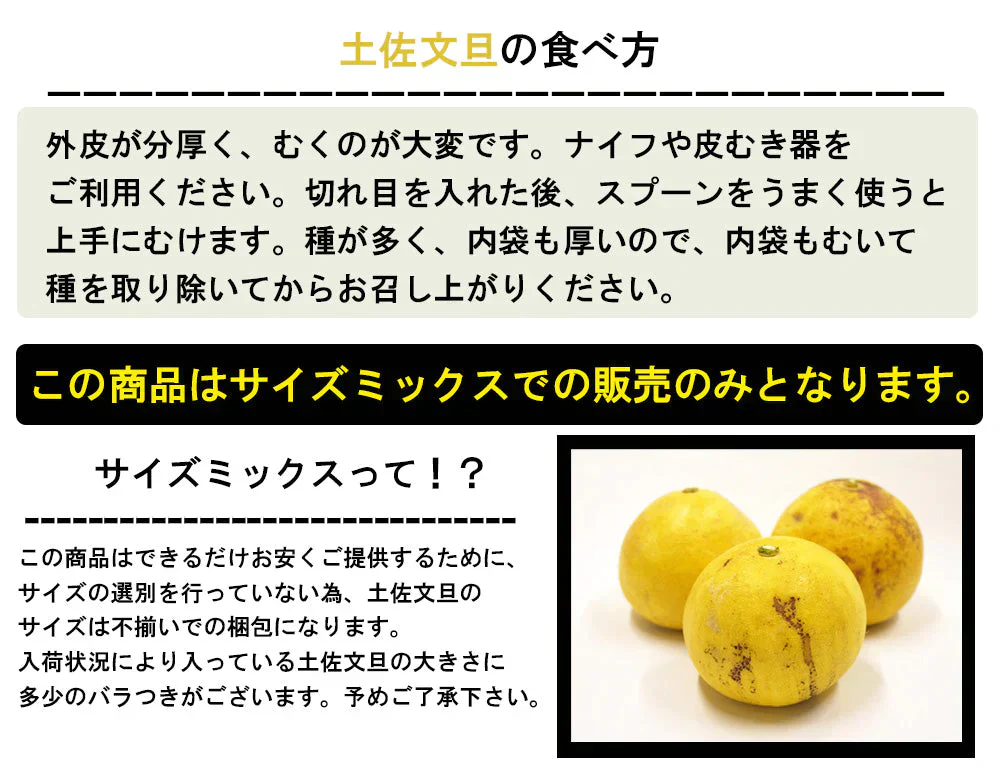 土佐文旦 訳あり 4kg 送料無料 ご家庭用 箱買い サイズミックス みかん 柑橘 フルーツ 果物 産地直送 愛媛県産 YDF-008