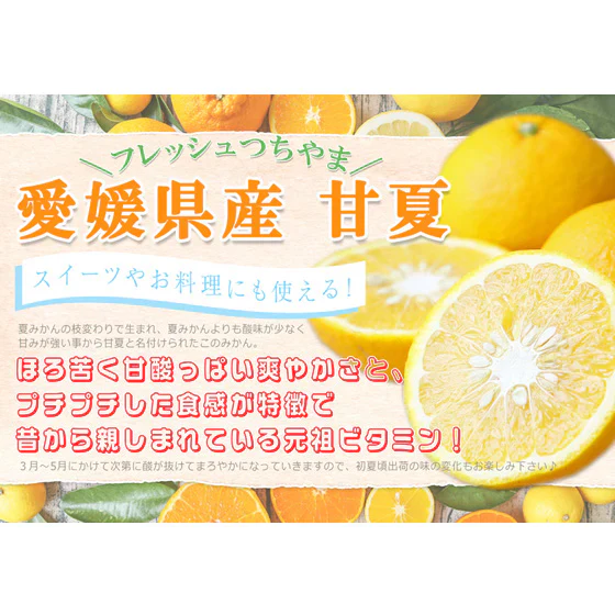 みかん　甘夏　２ｋｇ　ｆ甘夏０２　家庭用　２箱ご購入でもう１箱おまけ　フレッシュつちやま　吉田みかん　愛媛　吉田　宇和島　青果　果物　甘夏　あまなつ　ミカン　蜜柑　柑橘　フルーツ　送料無料　訳あり