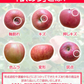 【11gatu 】りんご 訳あり 山形県産 約10kg(玉数おまかせ) 送料無料 品種おまかせ バラ詰め ※一部地域は別途送料追加 フルーツ 果物 果物 順次発送 ap13