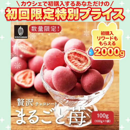 【予約注文11月05日以降順次発送】贅沢まるごと苺チョコレート 100g チョコレート スイーツ いちごまるごと ホワイトチョコ イチゴ いちご ストロベリーチョコ いちごトリュフ フリーズドライ チョコ 友チョコ 自分チョコ【ご新規さん限定商品】