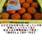 【10月中旬より順次発送予定】ばってん甘柿 訳あり 3kg×3箱(1箱 約3kg) 樹上脱渋柿 種なし柿 送料無料