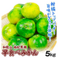 早食べみかん　和歌山産　5kg　ご家庭用 極早生（発送予定：9月下旬より）