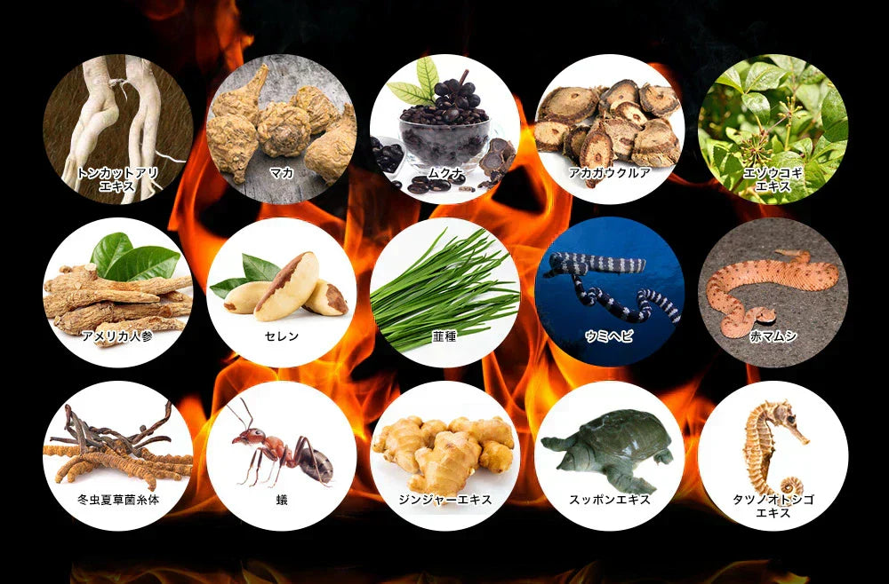 タフコンフィデンス《約3ヶ月分》みなぎるパワー系素材13種類配合！　ネコポス送料無料　トンカットアリ/マカ/スッポン/赤マムシ/亜鉛/タフコン/TOUGH CONFIDENCE