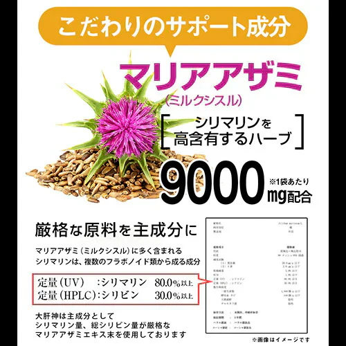 大肝神 だいかんじん 60粒 シリマリン マリアアザミ ミルクシスル サプリメント お酒の席 ウコン クルクミン 亜鉛 牡蛎エキス 垂盆草 サルメントシン 宴会 防止 健康 RoyalBS