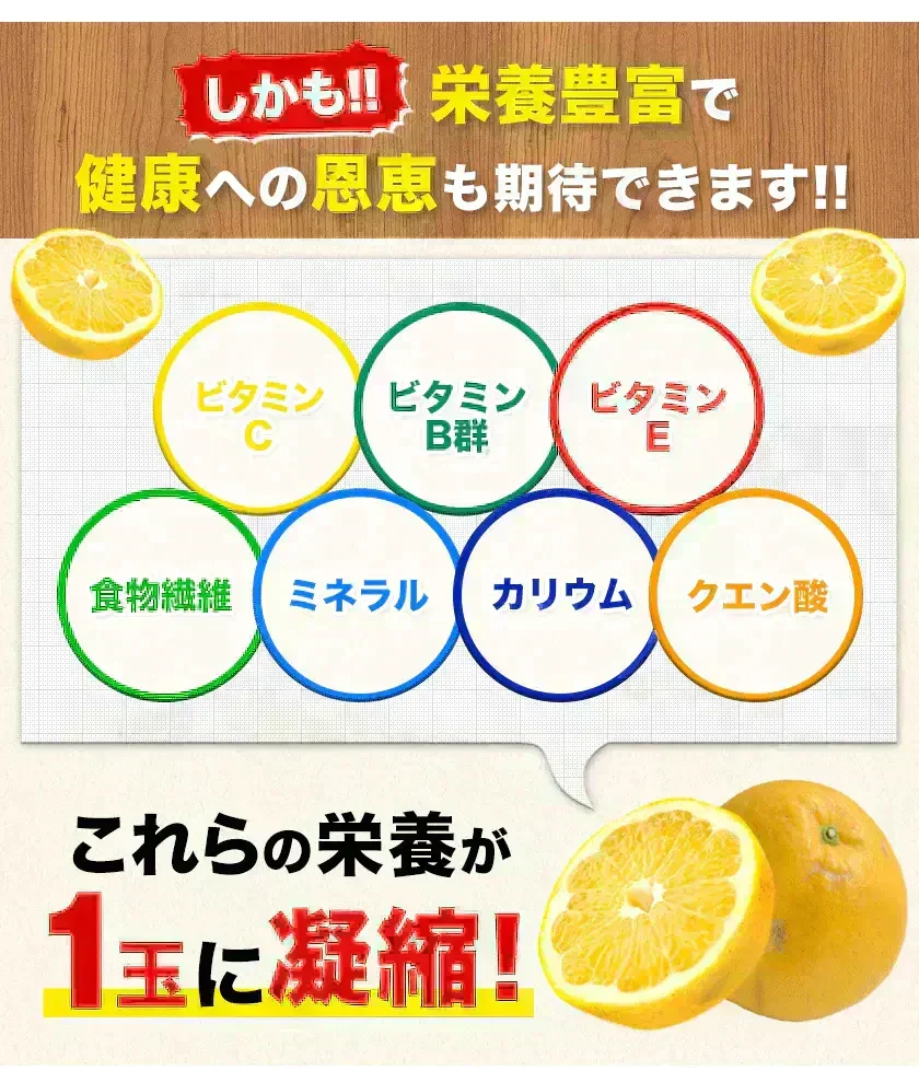 河内晩柑 5kg 送料無料 和製 グレープフルーツ フルーツ 果物 みかん 訳あり 夏文旦 晩柑 ジューシーみかん 熊本県産 《1-5営業日以内に発送予定》