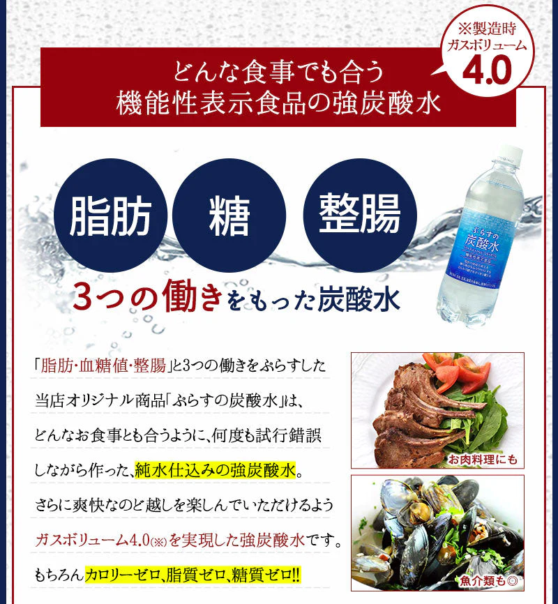 脂肪の吸収を抑える炭酸水 ぷらすの炭酸水 500mlPET×24本[脂肪 糖 整腸][機能性表示食品][賞味期限：1ヶ月以上]【1〜2営業日以内に出荷】【送料無料】強炭酸水 割材 ソーダ ダイエット