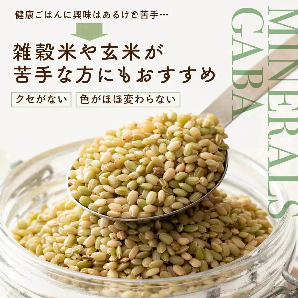 雑穀 雑穀米 国産 緑米 2.4kg(400g×6袋) ファミリーサイズ 無添加 無着色 送料無料 古代米 みどりまい