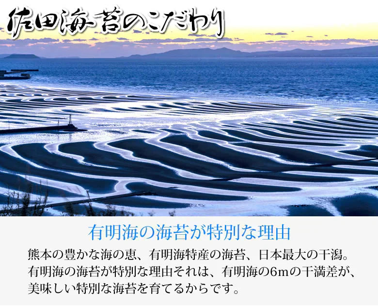 塩のり 海苔 味付け塩海苔 有明海産 送料無料 半形20枚 お取り寄せ お取り寄せグルメ 有明のり 焼きのり 熊本 天草 ご飯のお供 おにぎり 乾物 乾海苔 のり