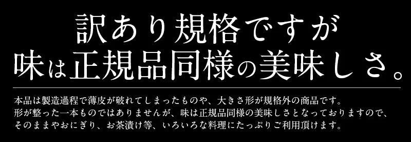 明太子 辛子明太子 1kg 訳あり 無着色 わけあり ワケあり 穴あき バラ めんたいこ メンタイコ 切れ子 切子 からし明太子 ご飯のお供 ごはんのおとも おかず 酒の肴 グルメ 魚卵 海鮮 魚介類 贈り物 母の日 プレゼント ギフト  母の日思いの 健康 実用的 父の日 子供 孫