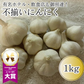 サイズ&産地はプロにおまかせ にんにく 1kg ホワイトニンニク ガーリック 青果 訳あり 野菜