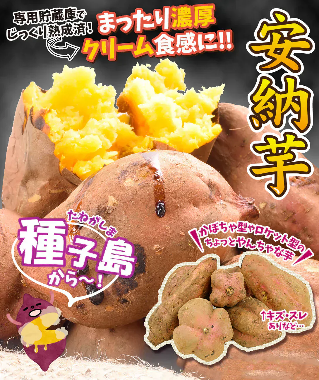 安納芋 2kg 種子島産 訳あり【2025年1月中旬より発送】