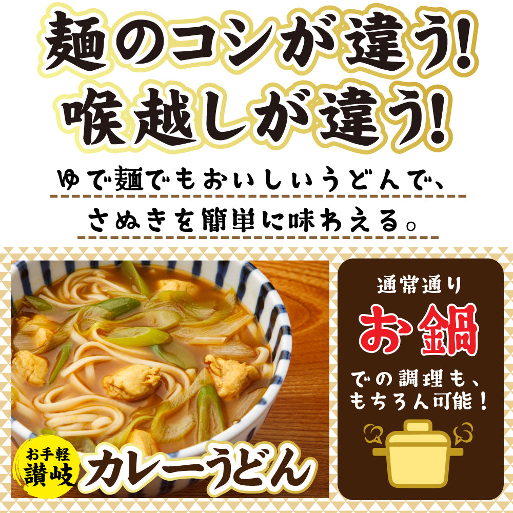 お手軽 讃岐のカレーうどん10食 讃岐うどん 送料無料 （北海道・沖縄+1500円） ご当地セット 産直 福袋 得トクセール 贈答 食品 グルメ 食べ物 プレゼント ギフト ギフトセット お歳暮 御歳暮 歳暮【福袋】