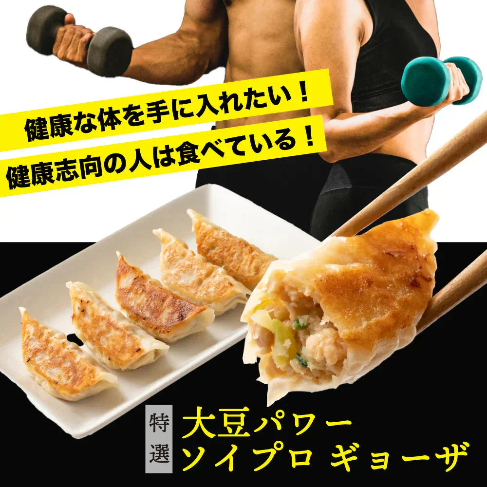 【動物性原料ゼロ】大豆ミート餃子 90個(30個入×3袋) ソイプロテイン餃子｜動物性不使用・ソイプロテイン・低脂肪・ヘルシーおかず・ビーガン対応 ギルティフリー