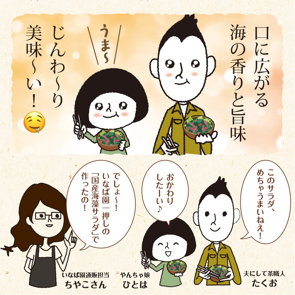 【2個セット】日本橋いなば園 国産海藻サラダ 30g ネコポス メール便送料無料
