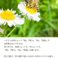国産 天然ハチミツ 清夏の薫りチューブタイプ200g はちみつ 蜂蜜 ギフト 国産蜂蜜