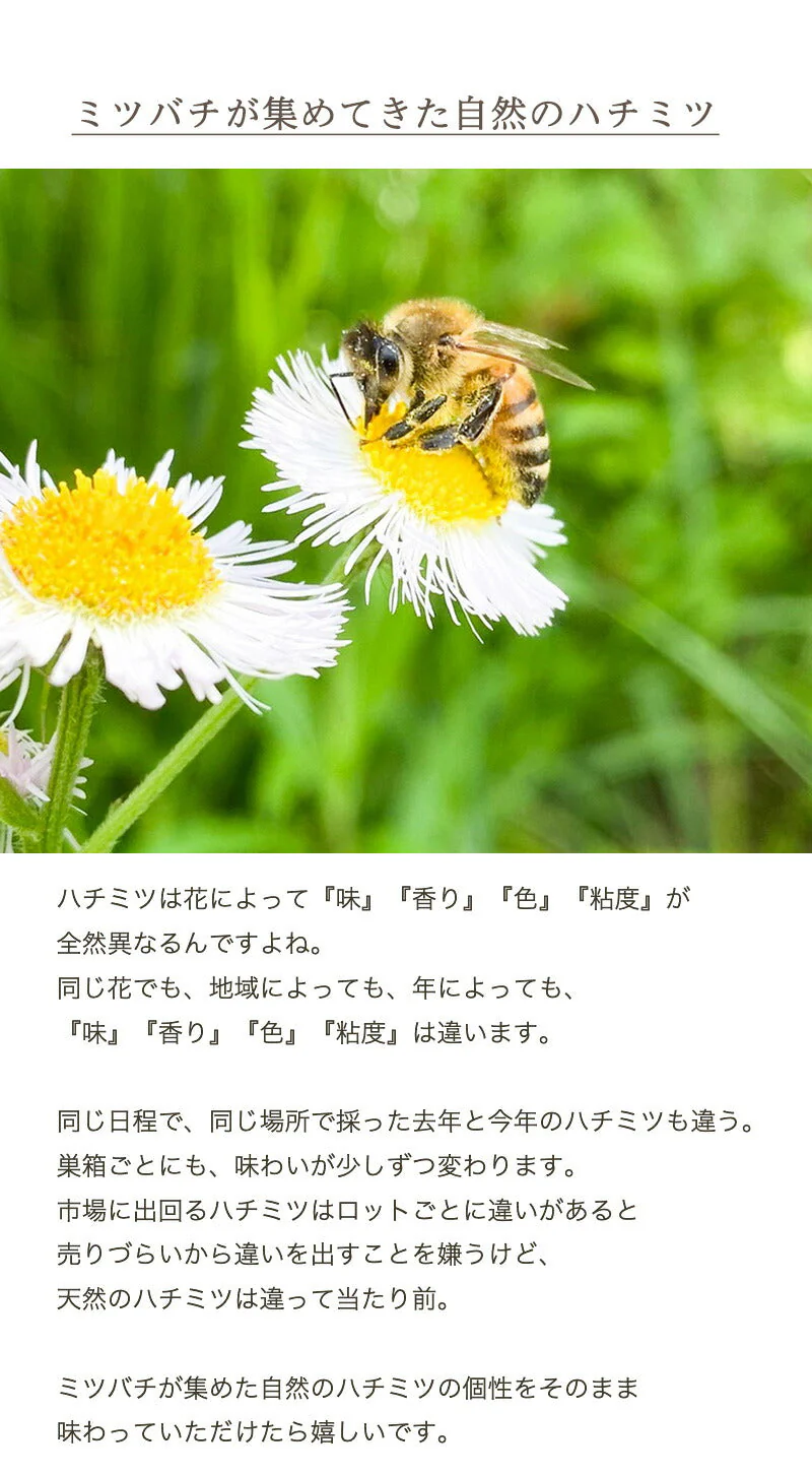 国産 天然ハチミツ 清夏の薫りチューブタイプ200g はちみつ 蜂蜜 ギフト 国産蜂蜜