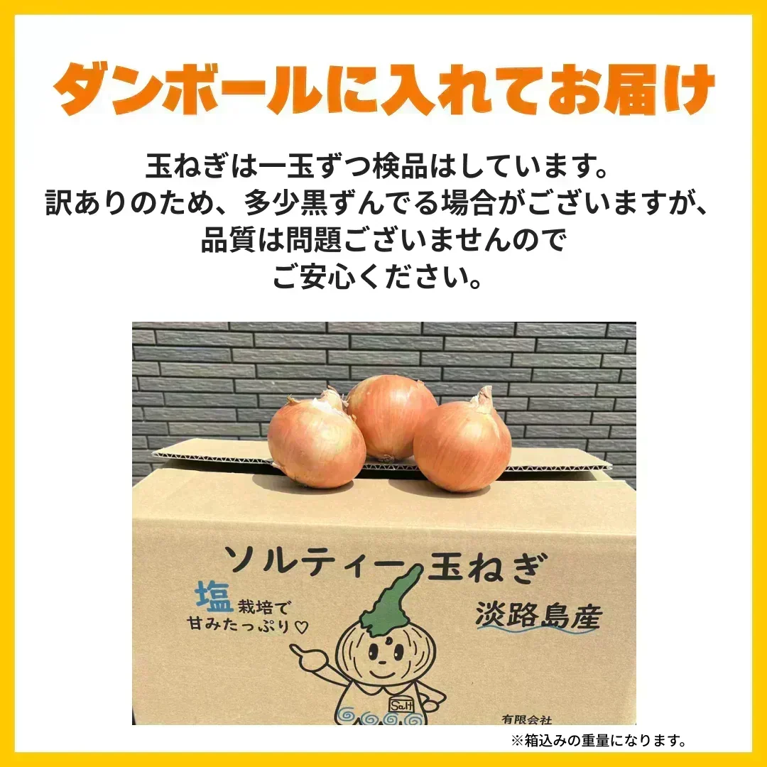 【訳あり】(塩栽培)淡路島産ソルティ玉ねぎ10キロ　美味しいさ甘さグー