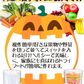 ドライフードメーカー 1個 【発送予定は商品詳細説明参照】 食品乾燥機 野菜乾燥機 ドライフルーツ ドライ野菜