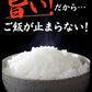 送料無料 鶏の炭火焼き 50g×3袋 食品 お試し お取り寄せ グルメ 特産品 通販 宮崎 鶏肉 焼き鳥 炭焼き おつまみ お酒のあて 産直