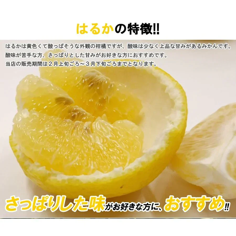 はるか みかん 5kg ご家庭用 箱買い サイズミックス 柑橘 フルーツ 果物 産地直送 愛媛県産 YDF-004