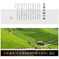 ゆたかみどり 鹿児島茶 緑茶 エピガロカテキン 山城物産 カテキン 100g