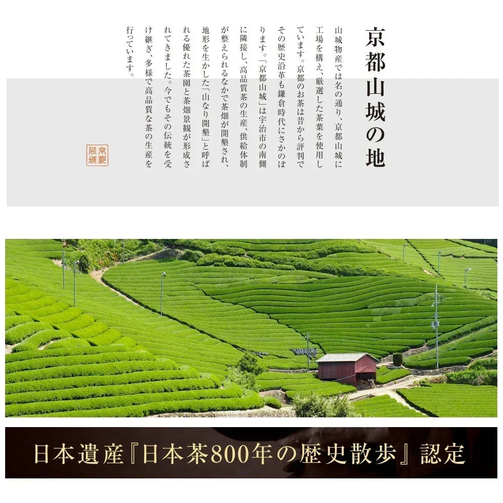 ゆたかみどり 鹿児島茶 緑茶 エピガロカテキン 山城物産 カテキン 100g