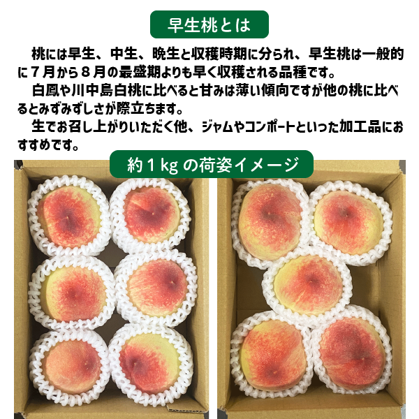 和歌山県産 早生桃 約1kg ５〜６玉 小玉 早生品種 はなよめ 白鳳系 和歌山 日川 小さめ