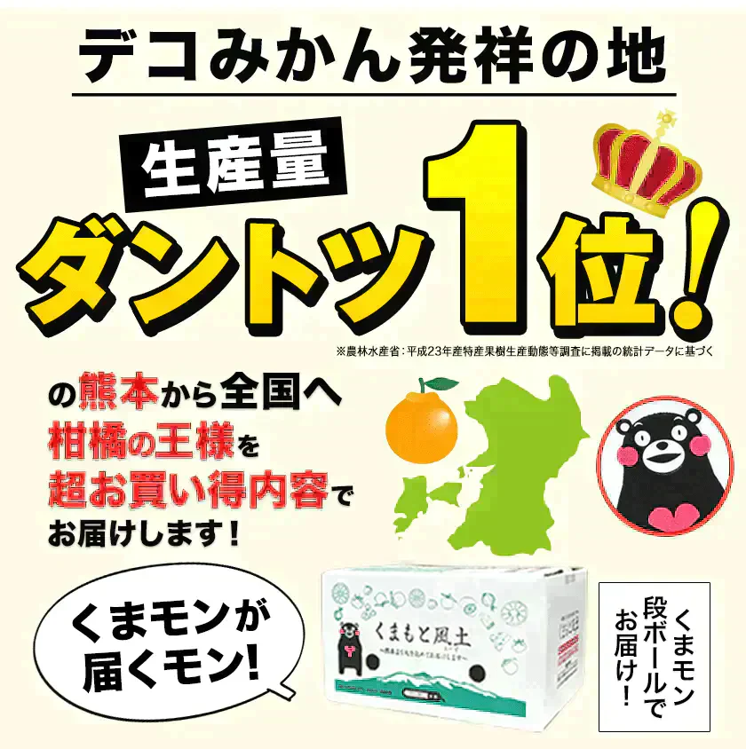 本場熊本産 訳あり デコみかん 送料無料 1.5kg 不知火 みかん ミカン 熊本県産 訳あり デコポン と同品種 熊本 柑橘  7-14営業日以内に発送予定(土日祝除く)
