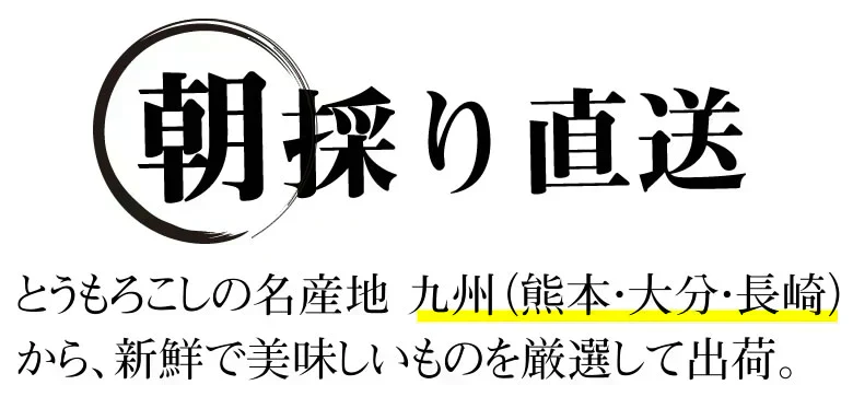 とうもろこし ゴールドラッシュ 送料無料 3.5～4kg 《クール便でお届け》 九州産 味来 極甘フルーツコーン スイートコーン 野菜