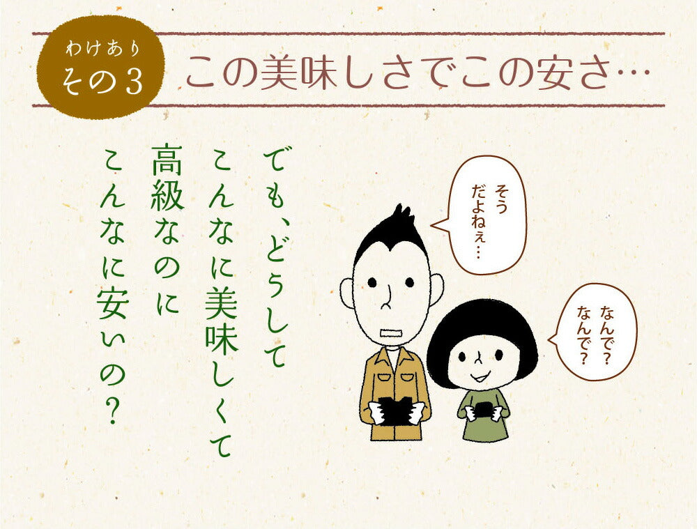日本橋いなば園 有明海産 きざみ海苔 40g ネコポス メール便送料無料 刻み海苔 ギフト きざみ海苔 きざみのり 寿司 弁当 トッピング 食品 乾物 茶匠庵 葉酸 タウリン