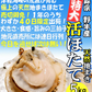 8月中旬まで限定販売　青森県野牛産　活ほたて　大サイズ　5キロ　むきへら付き