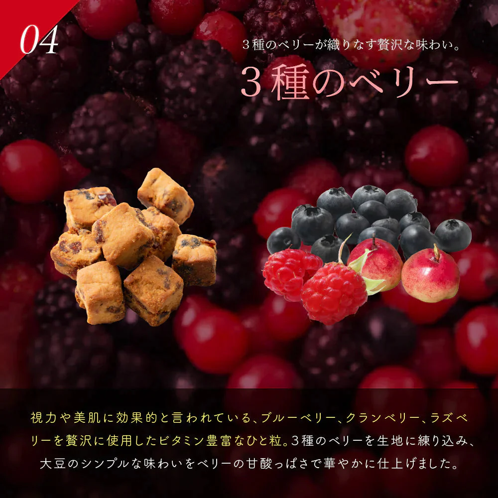 【４種の詰め合わせ】小麦粉不使用 ソイキューブ 【4袋】(100g×4袋) [３種のベリー/アーモンドオレンジ/チョコくるみ/ホワイトチョコ]  SOYCUBE 大豆菓子 おから グルテンフリー 小低GI 低糖質 糖質制限 小腹サポート 食物繊維