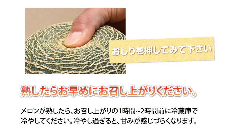 メロン 訳あり 送料無料 肥後グリーンメロン 約6～7kg 3～6玉 熊本県産 肥後グリーン フルーツ お取り寄せ
