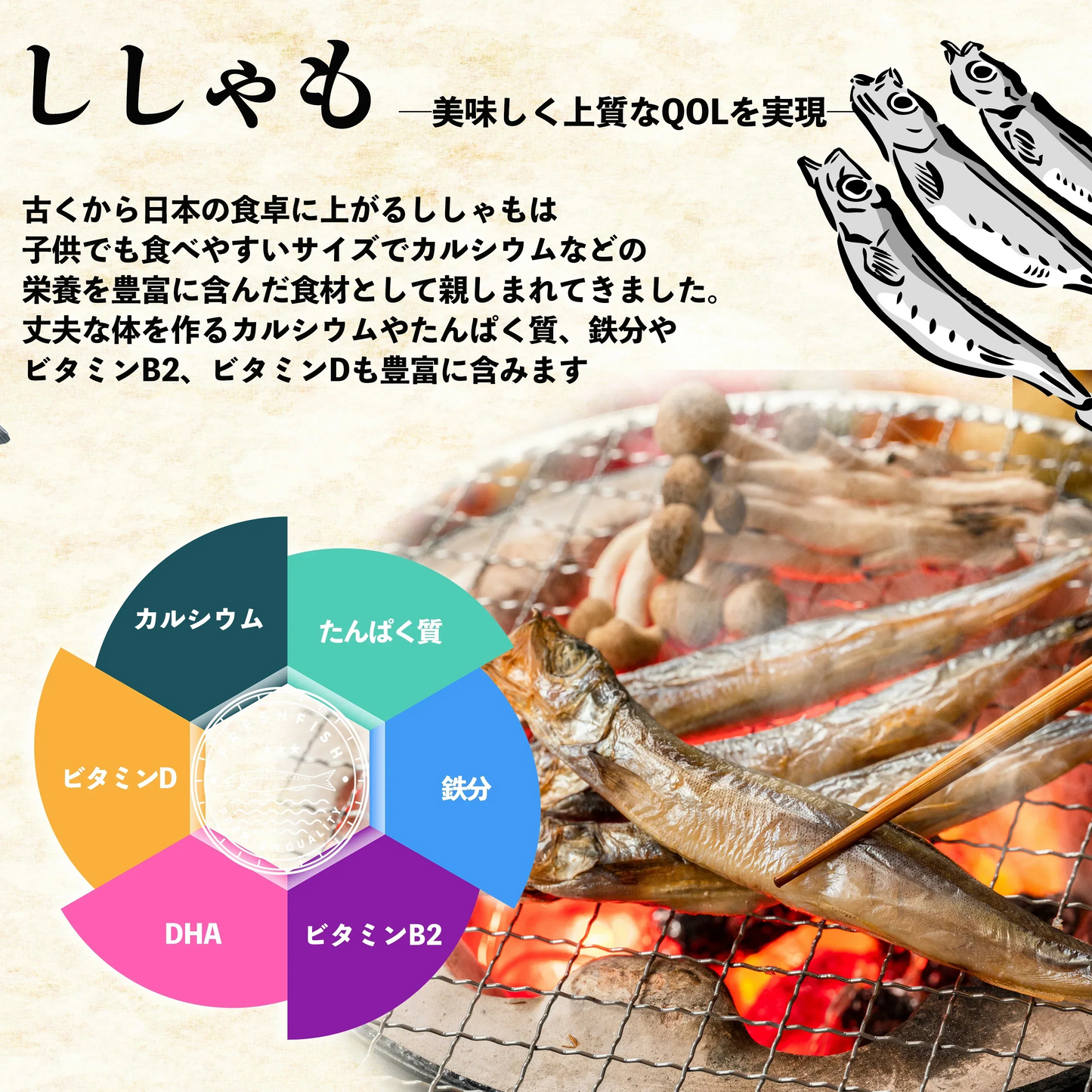 子持ち シシャモ 一夜干し 山盛り1kg(ジッパータイプ) アイスランド産 タイ国内生産 シシャモ  おつまみ
