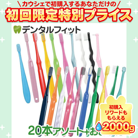 福袋 大人用 ≪日本製≫ 歯ブラシ アソート20本セット【おまけ付き】 おとな【ご新規さん限定商品】