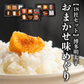 【18社セット】博多明太子おまかせ味めぐり