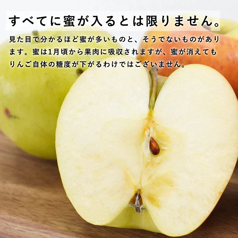 【予約受付中】青森県産 訳あり ぐんま名月 約3kg 数量限定! ※10月下旬頃からご予約順に発送予定※家庭用 青森 りんご 林檎 群馬名月 果物 フルーツ 送料無料 ks