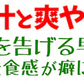 りんご 青森産 サンつがる 約3kg