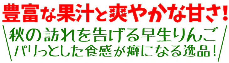 りんご 青森産 サンつがる 約3kg