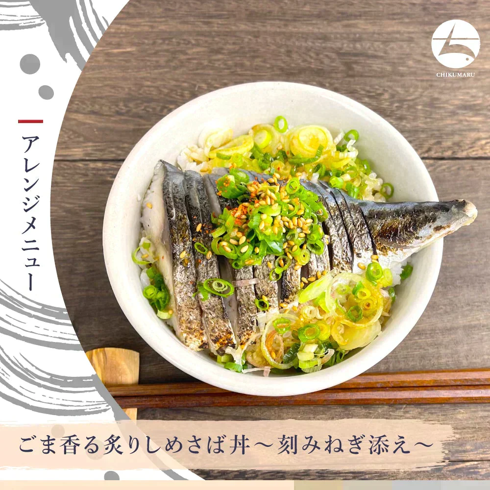 ◆フードロス削減◆訳あり◆1枚200gの国産鯖使用🐟 特々大しめさば 5種セット プレーン／昆布〆／炙り／かぶら漬け／柚子風味