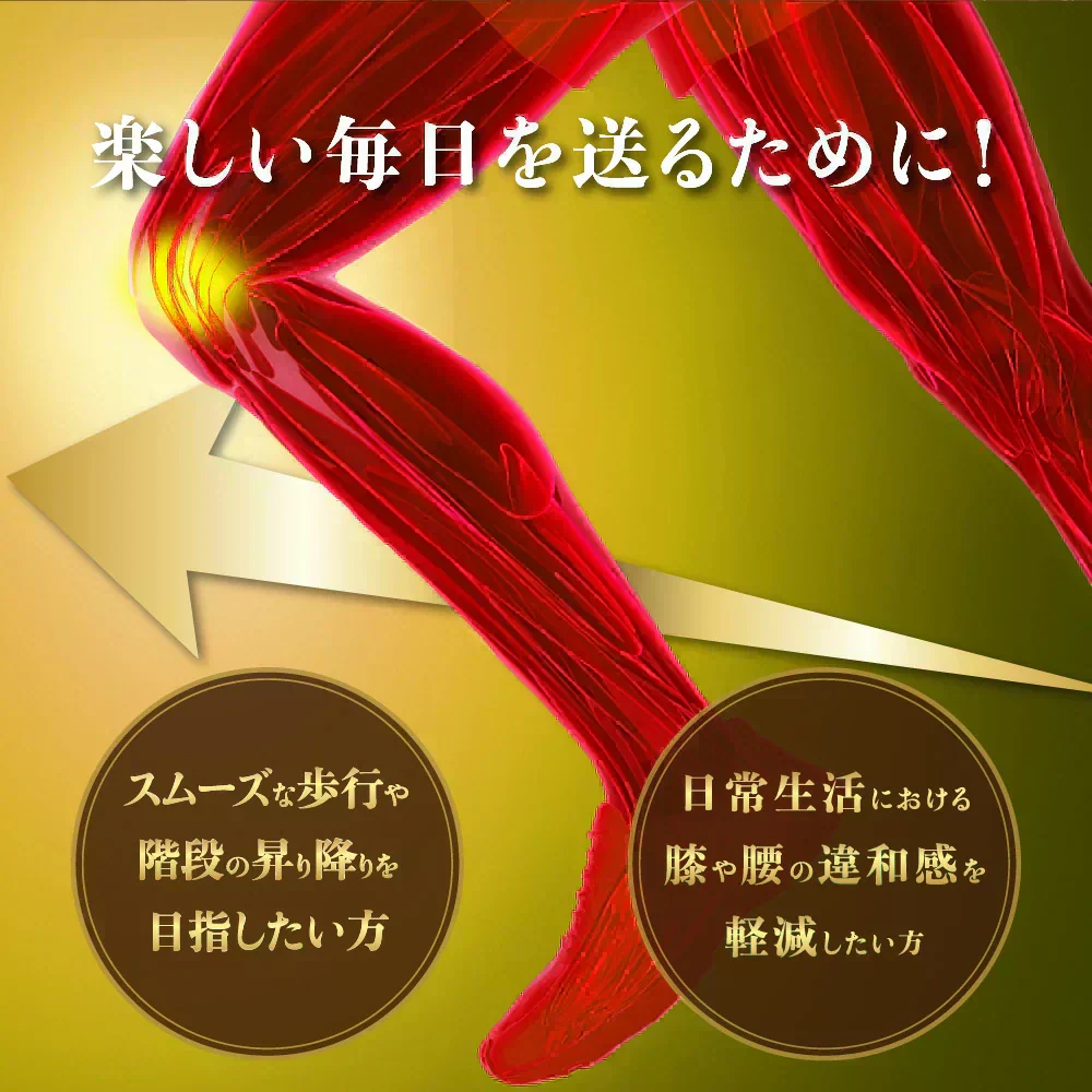 機能性表示食品　ひざ関節と腰《約1ヶ月分》 膝関節 腰 柔軟性　サプリ サプリメント 腰痛