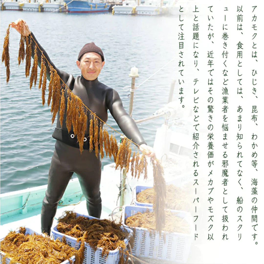 玄界灘産　粘りあかもく180ｇ×5個　合計900ｇ　送料無料（一部除く）　アカモク ぎばさ ギバサ 国産 魚介類 ギフト お取り寄せ まとめ買い 福岡 食物繊維 ミネラル スーパーフード 海産物　パウチ　チューブ　タイプ