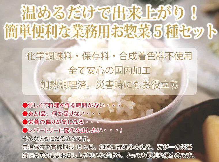 肉じゃが 筑前煮 牛角煮 切干大根煮 ひじきの五目煮 お惣菜 5種セット